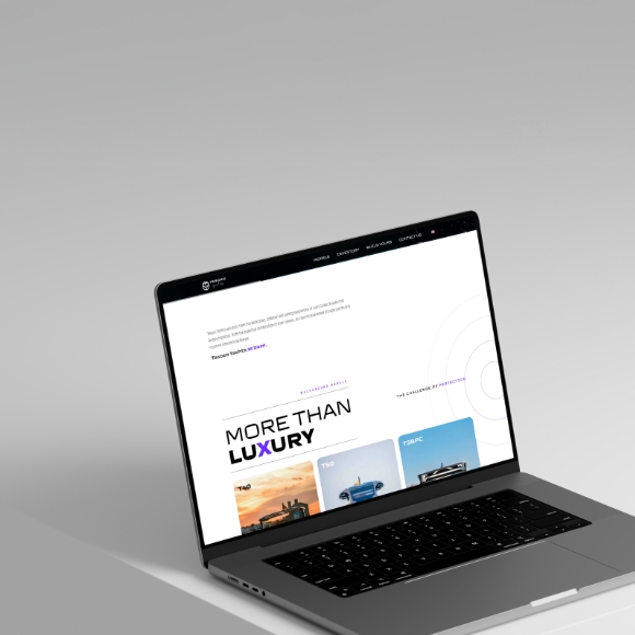 Tesoro_Turkey_Web_Design_Development_Production